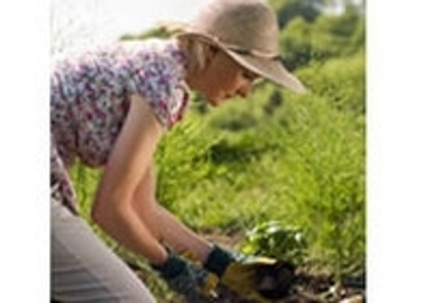 Gardening